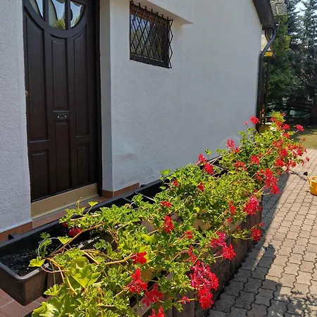 Casa de Férias In Siofok/balaton 19923 *